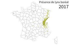 Francetv info dresse la carte des 590 communes où la présence de loups a été observée par l'office national de la chasse et de la faune sauvage en 2014. Carte Ou Vivent Les 500 Loups Recenses En France