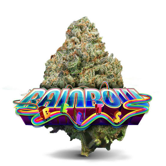 Prescription-grade Rainbow Belts medical flower, AI generated