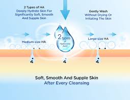 Hada labo super hyaluronic acid daily face wash 100g. Gokujyun Super Hyaluronic Face Wash At Low Price Tofusecret