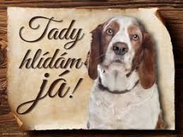 Image result for velššpringršpaněl