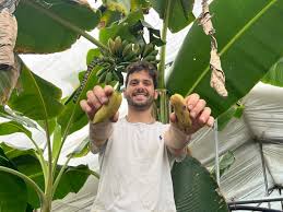 Get Naim Darrechi's full explicit pack content here on Sotwe