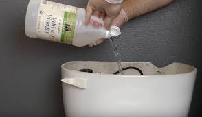 Clean The Toilet Vinegar Is One Of The Best Cleaning Ingredients Out There It S Safe For The Environment An Vinegar Cleaning Cleaning Toilet Tank Toilet Tank