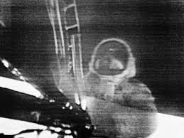 How much do you know about this historic event. Moon Landing Quiz And Bizarre Facts About Apollo 11 News Com Au Australia S Leading News Site