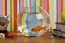 A small aquarium gets smaller and more delicate for attractive, unique, eco friendly and colorful. Fish Tank Decoration Ideas Using Everyday Items Lovetoknow
