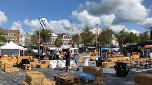 Het kanaal voor inwoners en ondernemers voor informatie, producten en diensten van de gemeente heerenveen. Pinguine In Heerenveen