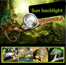 E27 Reptile Basking Light Heat Lamp Heater Uvb Uva Halogen Bulb 25 50 100w