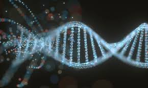 Knowing what to look for is the key to addressing the cancer quickly. Liquid Biopsies And Cancer Detection New Test Assesses Levels Of Circulating Proteins For Early Stage Diagnosis Cancer Therapy Advisor