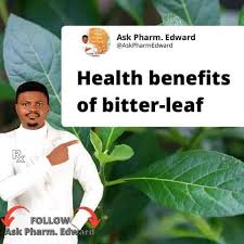 Image result for Vernonia thomsoniana