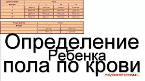 как определить пол ребенка по обновлению крови матери и отца Opredelenie Pola Rebenka Po Krovi Pol Rebenka Po Obnovleniyu Krovi Youtube