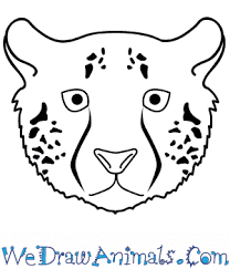 How to draw a cheetah. How To Draw A Cheetah Face