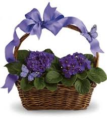We did not find results for: Crazy Daisy Staten Island Yahoo Local Search Results
