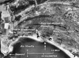 On may 22, 1960 a great mw 9.5 earthquake, the largest earthquake ever instrumentally recorded, occurred off in hawaii, the tsunami caused 61 deaths, 43 injuries, and usd $23.5 million in damage. Surviving A Tsunami Lessons From Chile Hawaii And Japan