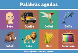 Palabras Agudas | Significado | Imagen y Ejemplos