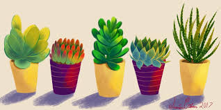 See more ideas about cactus, cactus drawing, cactus art. Plants Of Tumblr