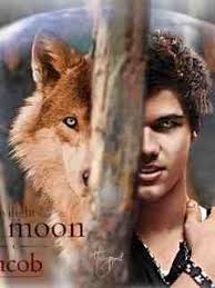 Jacob Black 240x320 Free Android Wallpaper Twilight Wolf Twilight Jacob Twilight Cool collections of jacob twilight wallpapers hd for desktop, laptop and mobiles. jacob black 240x320 free android