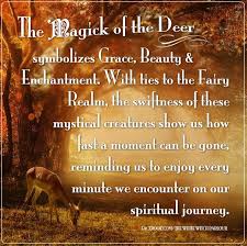 Pin On The Magick Of Love Light