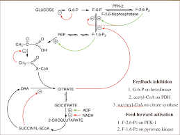 Pin On Biochemistry Slides