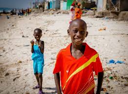 More than one third of the population lives below the poverty line. Germany And The Eu S Aid To Senegal The Borgen Project
