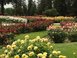 Municipal Rose Garden Beautiful Gardens Rose Garden Garden