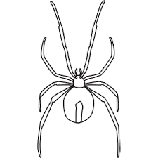 We found for you 15 pictures from the collection of white tail spider coloring spider bite! Learn How To Draw Animals Step By Step Page 4