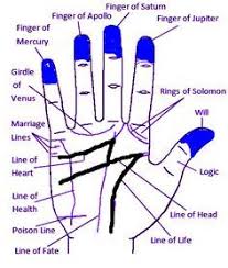 Money And Wealth Line In Palmistry With Sudden Gain Of Wealth Lines Palmistry Palm Reading Palmistry Reading