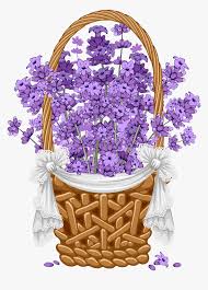 You can download the basket of flowers cliparts in it's original format by loading the clipart and clickign the downlaod button. Cvety Lavender Garden Lavender Flowers Lavander Lavender Flower Basket Clipart Hd Png Download Kindpng