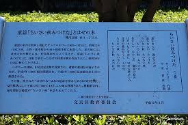 2021年 小さい秋みつけたのはぜの木 行く前に 見どころをチェック トリップアドバイザー