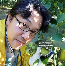 277 Limón Corazón Stock Photos, High-Res Pictures, and Images