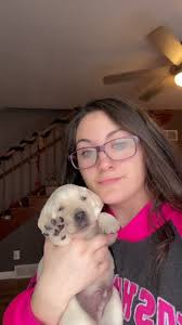 nevaeha.stice (@nevaeha_stice)