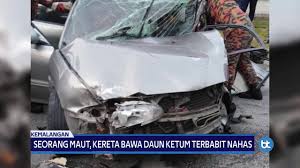We did not find results for: Seorang Maut Kereta Bawa Daun Ketum Terbabit Nahas Youtube