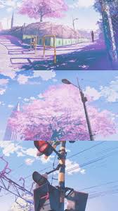 Cherry Blossoms Wallpaper Anime Backgrounds Wallpapers Anime Scenery Wallpaper Anime Scenery