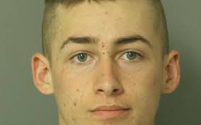 2nd Wake teen charged in string of car break-ins