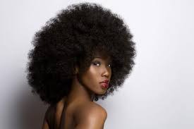 35 Great Natural Hairstyles For Black Women Pictures Slodive Natural African American Hairstyles Black Women Hairstyles Natural Hair Styles