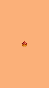 Check spelling or type a new query. Vsco Cute Wallpapers Lockscreens Cute Simple Wallpapers Iphone Wallpaper Vsco Cute Fall Wallpaper
