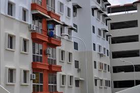 Penang national park breaks the stigma around a national park being about plentiful animals and long jungles. Century Park For Sale In Batu Uban Propsocial