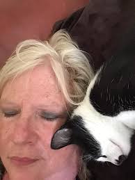 Lost black and white cat in Westmoreland, Portland, area