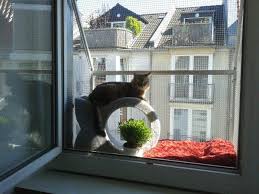 Die Katzenloggia Fur Das Fenster Ein Balkon Fur Katzen Katze Balkon Katzennetz Fensterschutz Katze