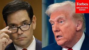 KAPAC] GALA night of Korea Peace Conference 2024 [미주민주참여포럼]