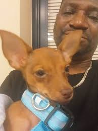 Andre Oneal Brown (@bearback66) • Instagram photos and videos