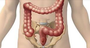 Unbelievable Method To Remove 8 Kilograms Of Toxins From Your Body Colon Cleanse Cleaning Your Colon Clean Colon