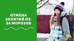 Отменят ли егэ в 2022 году. Dobrovolnoe Oge I Ege 2021 Godu Otmenili Ili Net Proekt Raspisaniya Sdachi Poslednie Novosti