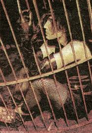 You Let Me Violate You You Let Me Desecrate You We Are No Longer Blind Trent Reznor Nine Inch Nails Photo Album Covers