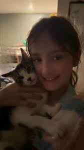 Kitten needs new home in Effort, Pennsylvania