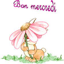 Bon mercredi - Lapin - Fleur - Gif animé - Gratuit - Le Monde des Gifs