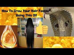 Genuine snake lipid in liquid (oil) form used in traditional herbal treatments, such as chinese medicine. How To Grow Your Hair Faster Use Snake Oil To Grow Hair Faster Snake Oil Review Qurrat Hyder Youtube