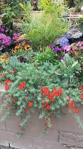 Pin By Shahnaz Mahager On Garden Landscaping Garden Landscaping Garden Plants
