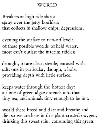 A R Ammons World Poetry Words Poems