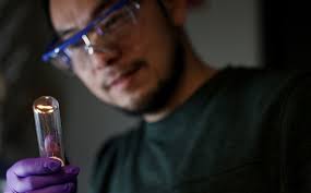 THE OFFICIAL NEWSLETTER OF LIA