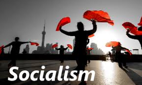 Image result for socialism