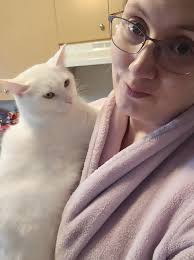 Needy kitten seeking constant attention and affection